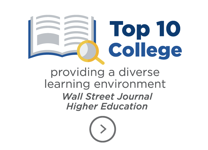 Top 10 College providing a diverse learning environment